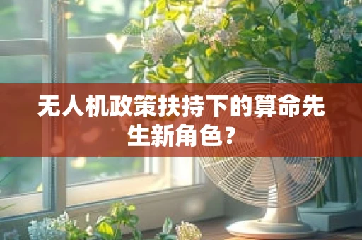 无人机政策扶持下的算命先生新角色？
