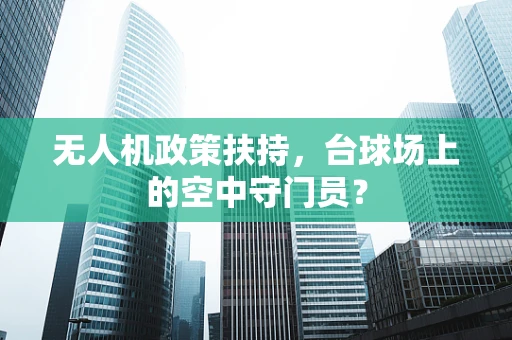 无人机政策扶持，台球场上的空中守门员？