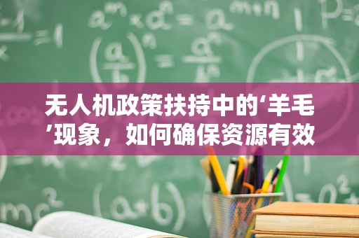 无人机政策扶持中的‘羊毛’现象，如何确保资源有效利用？
