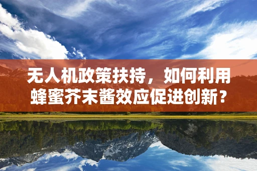 无人机政策扶持，如何利用蜂蜜芥末酱效应促进创新？