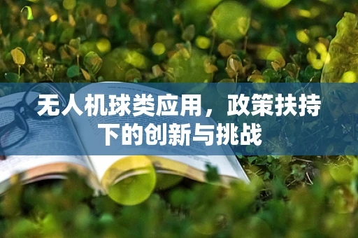 无人机球类应用，政策扶持下的创新与挑战