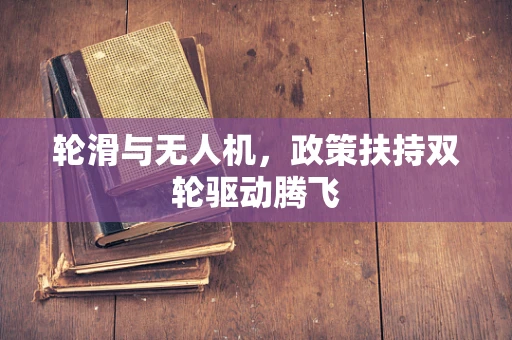 轮滑与无人机，政策扶持双轮驱动腾飞