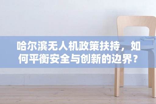 哈尔滨无人机政策扶持，如何平衡安全与创新的边界？