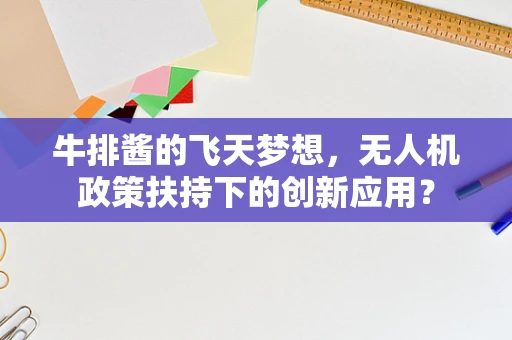 牛排酱的飞天梦想，无人机政策扶持下的创新应用？