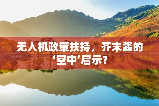 无人机政策扶持，芥末酱的‘空中’启示？