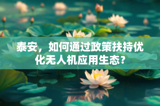 泰安，如何通过政策扶持优化无人机应用生态？