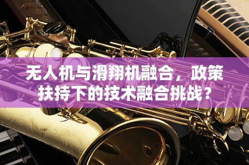 无人机与滑翔机融合，政策扶持下的技术融合挑战？
