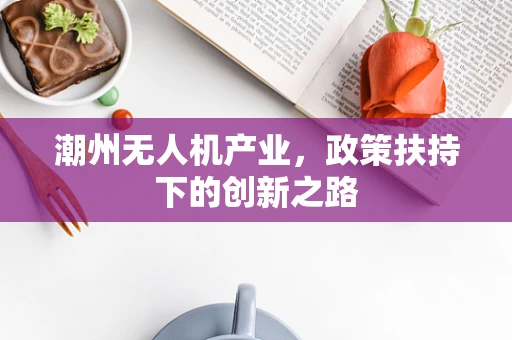 潮州无人机产业，政策扶持下的创新之路