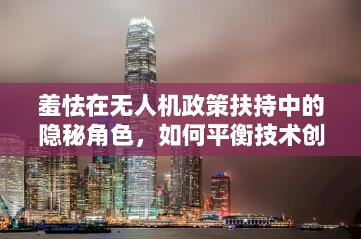 羞怯在无人机政策扶持中的隐秘角色，如何平衡技术创新与公众接受度？