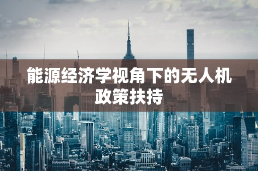 能源经济学视角下的无人机政策扶持