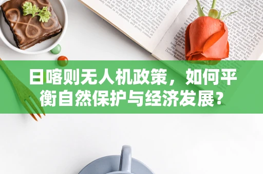 日喀则无人机政策，如何平衡自然保护与经济发展？