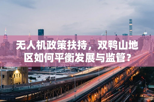 无人机政策扶持，双鸭山地区如何平衡发展与监管？