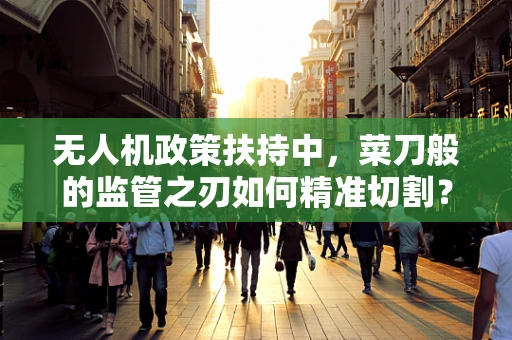无人机政策扶持中，菜刀般的监管之刃如何精准切割？