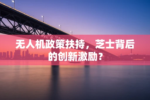 无人机政策扶持，芝士背后的创新激励？