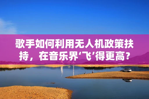 歌手如何利用无人机政策扶持，在音乐界‘飞’得更高？