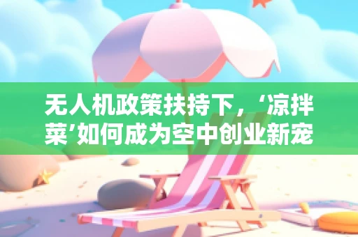 无人机政策扶持下，‘凉拌菜’如何成为空中创业新宠？