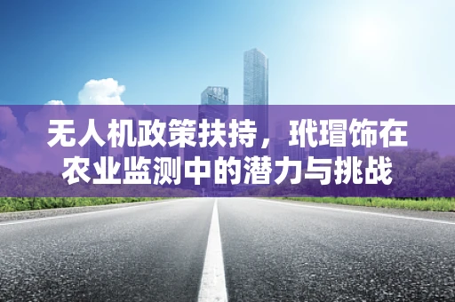 无人机政策扶持，玳瑁饰在农业监测中的潜力与挑战