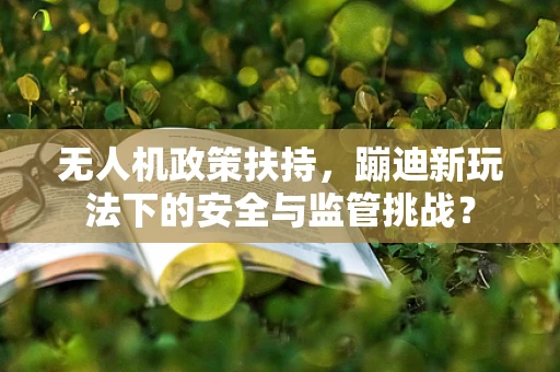 无人机政策扶持，蹦迪新玩法下的安全与监管挑战？