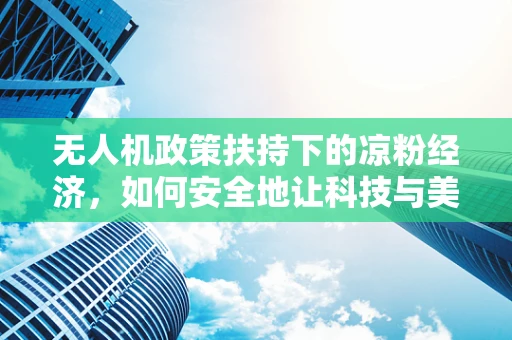 无人机政策扶持下的凉粉经济，如何安全地让科技与美食共舞？