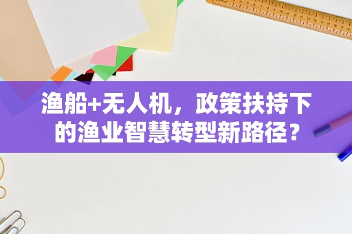 渔船+无人机，政策扶持下的渔业智慧转型新路径？