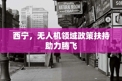 西宁，无人机领域政策扶持助力腾飞