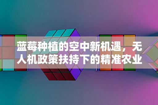 蓝莓种植的空中新机遇，无人机政策扶持下的精准农业实践
