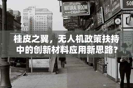 桂皮之翼，无人机政策扶持中的创新材料应用新思路？