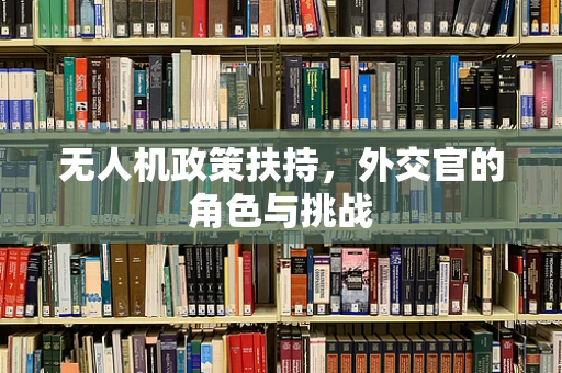 无人机政策扶持，外交官的角色与挑战