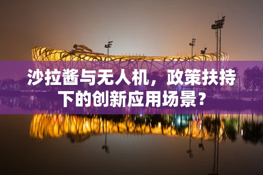 沙拉酱与无人机，政策扶持下的创新应用场景？