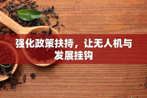 强化政策扶持，让无人机与发展挂钩