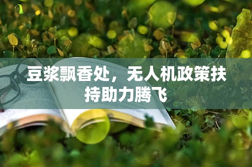 豆浆飘香处，无人机政策扶持助力腾飞