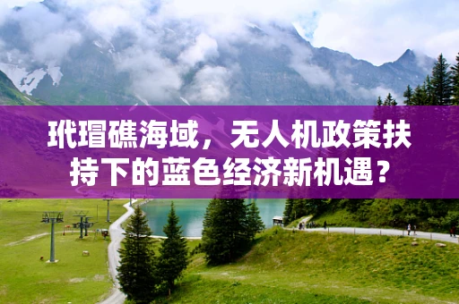 玳瑁礁海域，无人机政策扶持下的蓝色经济新机遇？