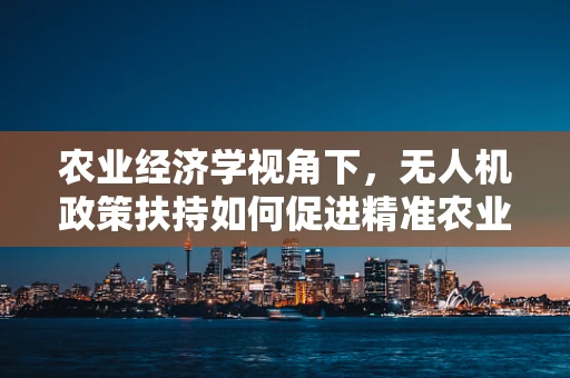 农业经济学视角下，无人机政策扶持如何促进精准农业发展？