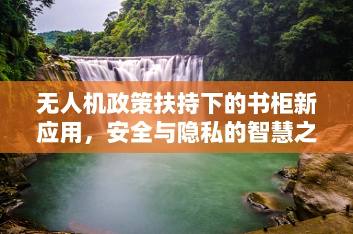 无人机政策扶持下的书柜新应用，安全与隐私的智慧之问