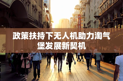 政策扶持下无人机助力淘气堡发展新契机