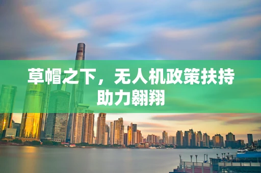 草帽之下，无人机政策扶持助力翱翔