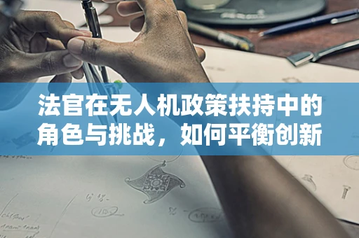 法官在无人机政策扶持中的角色与挑战，如何平衡创新与安全？
