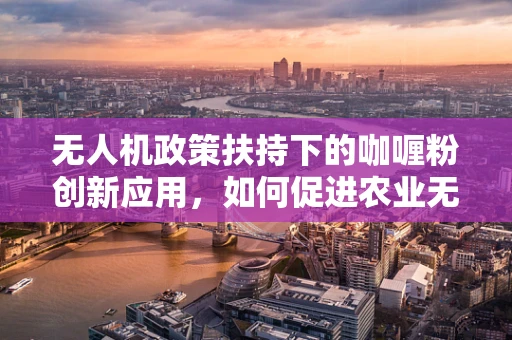 无人机政策扶持下的咖喱粉创新应用，如何促进农业无人机精准施肥的精准度？
