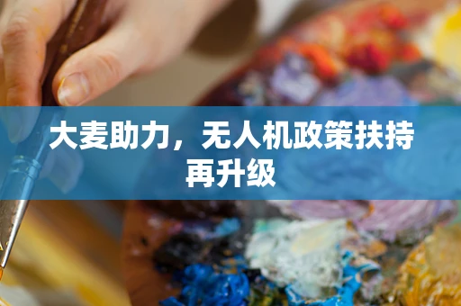 大麦助力，无人机政策扶持再升级