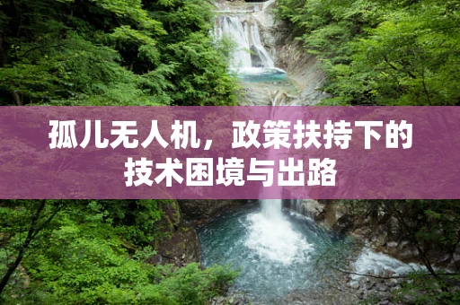 孤儿无人机，政策扶持下的技术困境与出路