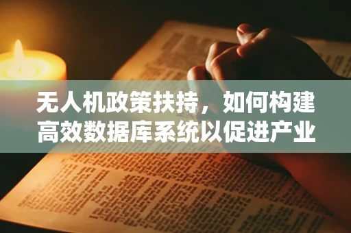 无人机政策扶持，如何构建高效数据库系统以促进产业发展？