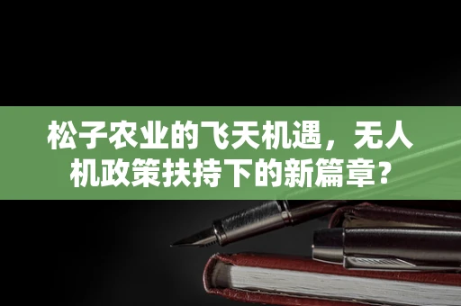 松子农业的飞天机遇，无人机政策扶持下的新篇章？