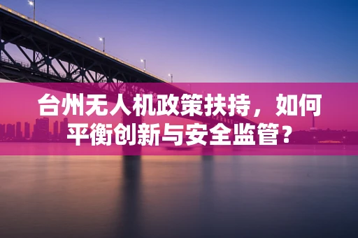 台州无人机政策扶持，如何平衡创新与安全监管？