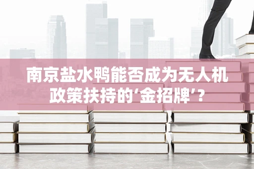 南京盐水鸭能否成为无人机政策扶持的‘金招牌’？