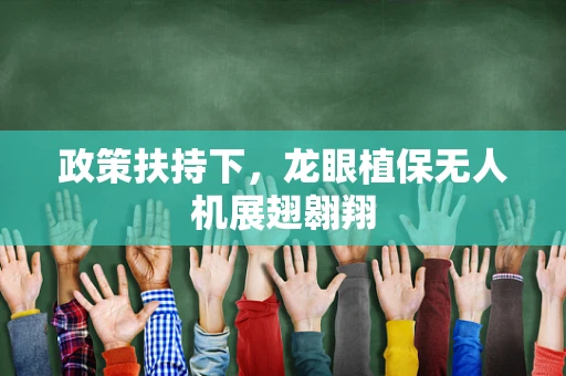 政策扶持下，龙眼植保无人机展翅翱翔