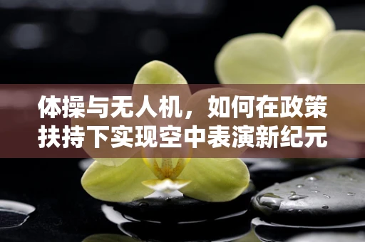 体操与无人机，如何在政策扶持下实现空中表演新纪元？