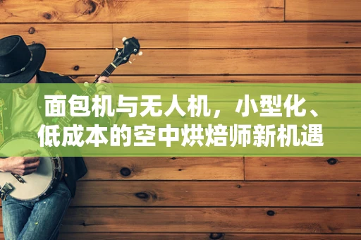 面包机与无人机，小型化、低成本的空中烘焙师新机遇？