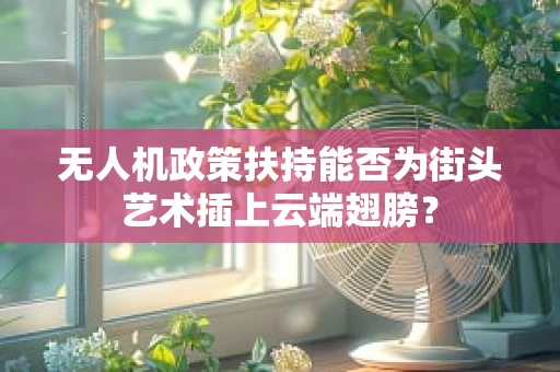 无人机政策扶持能否为街头艺术插上云端翅膀？