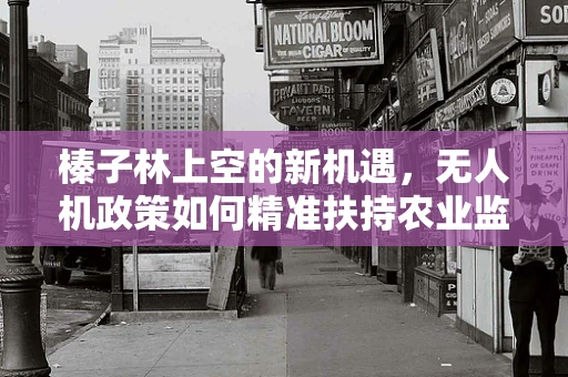 榛子林上空的新机遇，无人机政策如何精准扶持农业监测？