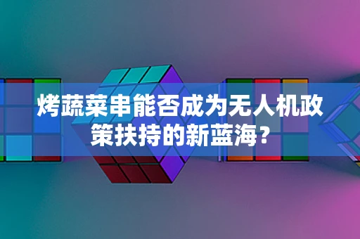 烤蔬菜串能否成为无人机政策扶持的新蓝海？